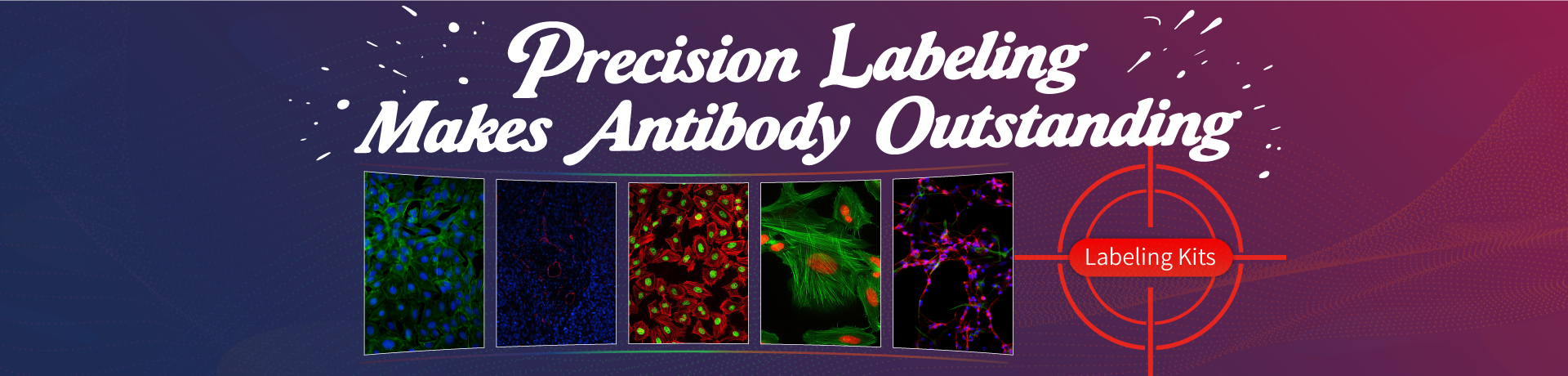 Antibody Labeling Kit