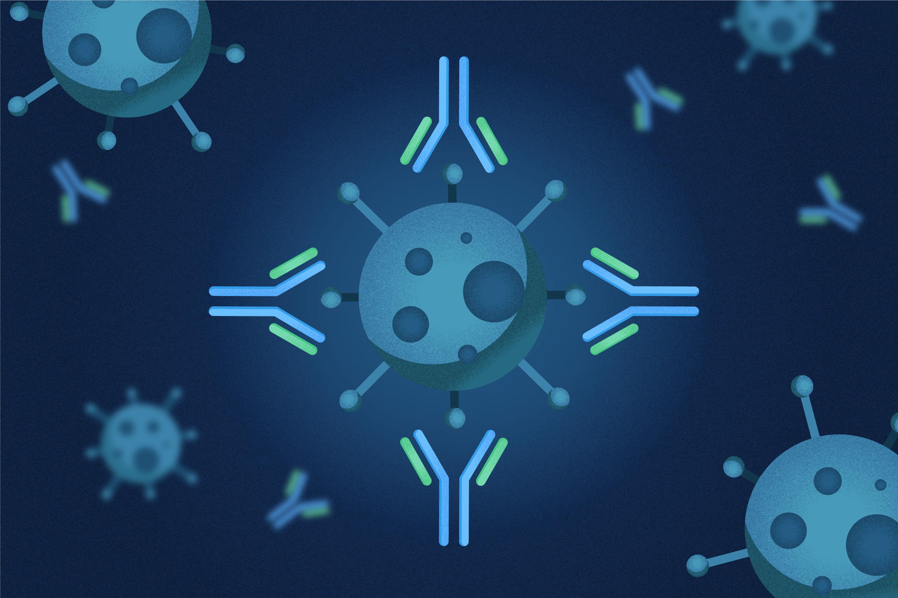 An Introduction to Antibodies