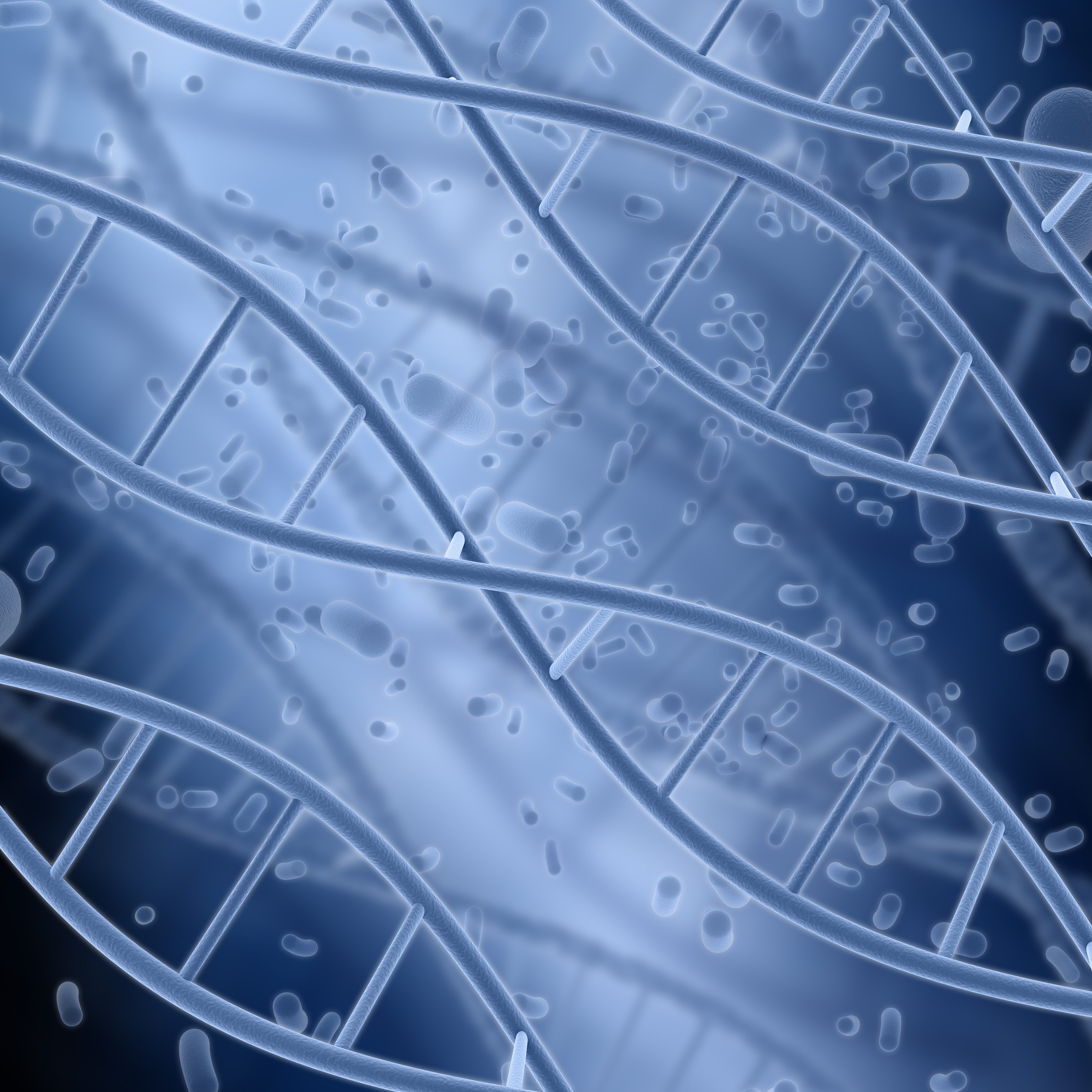 Recombinant antibodies