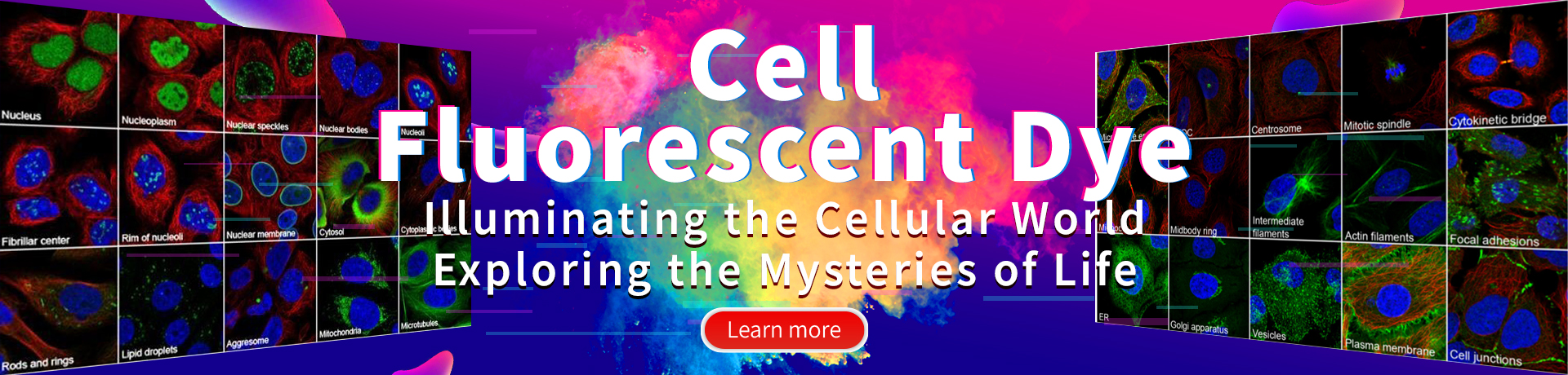 Cell Fluorescent Dye