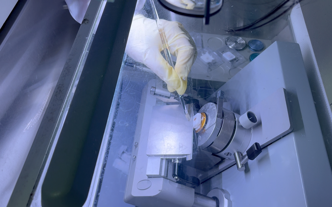 Frozen Sample Immunohistochemistry (IHC) Detection