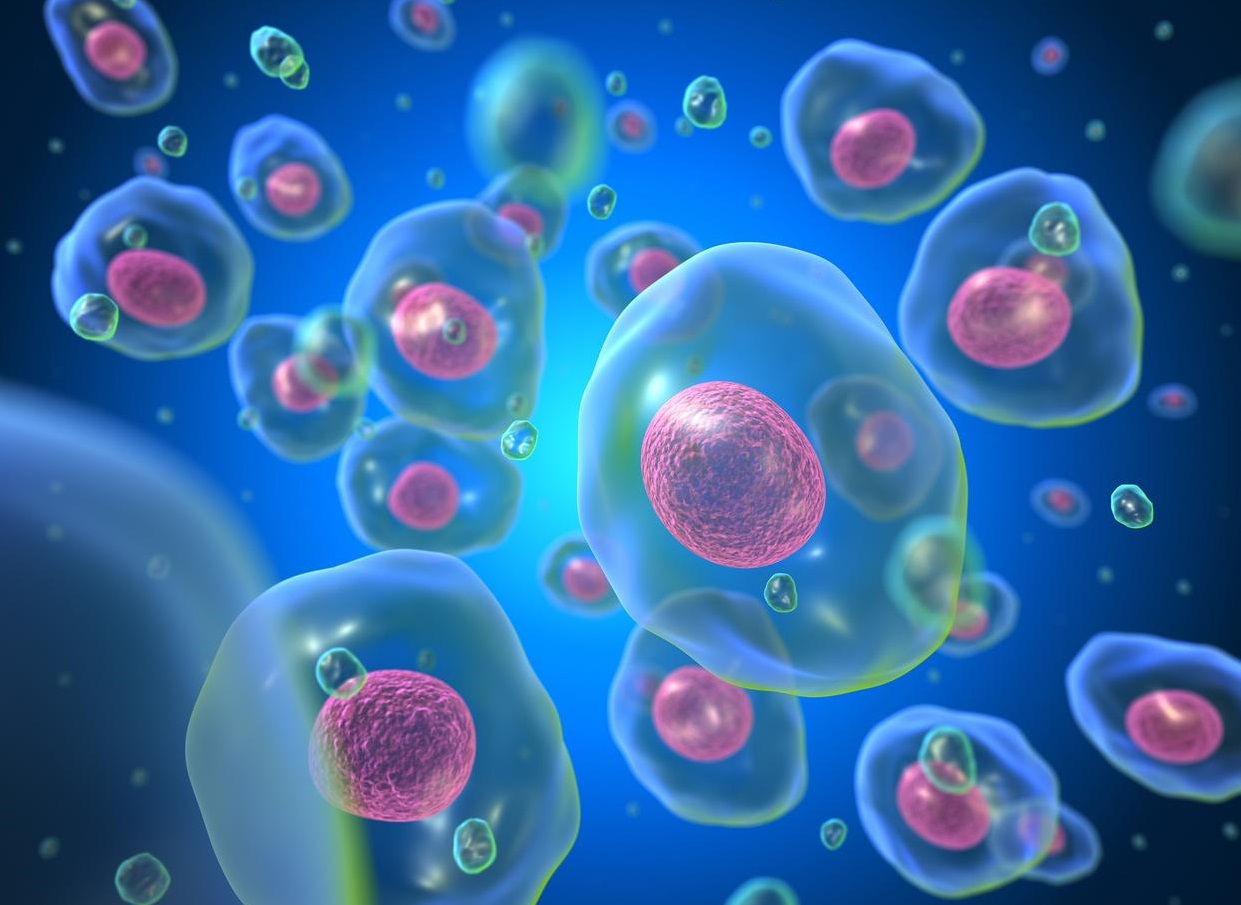 Mammalian Protein Expression Systems: A Comprehensive Overview