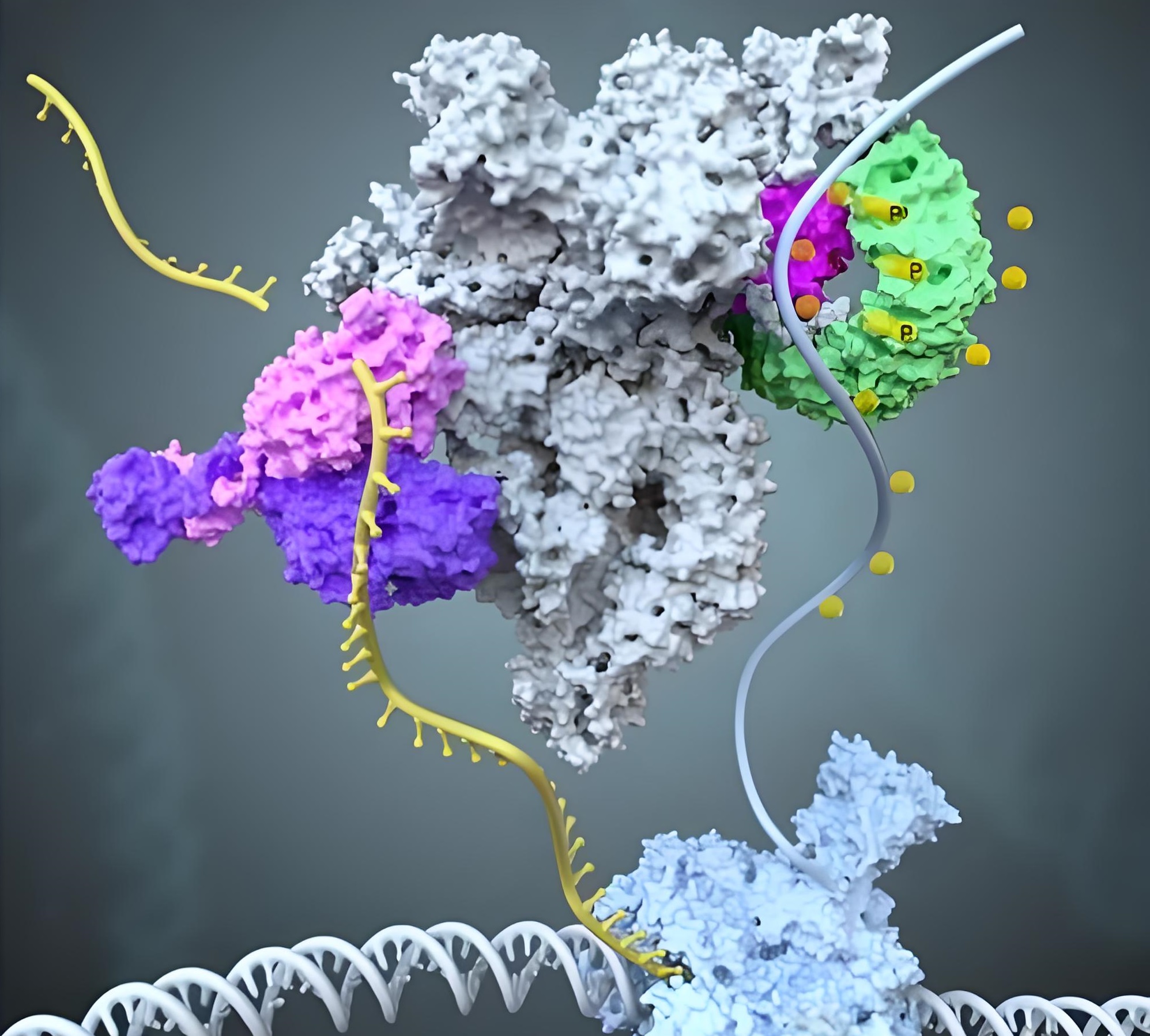 Key Strategies to Overcome Protein Inclusion Bodies in Escherichia coli Expression Systems