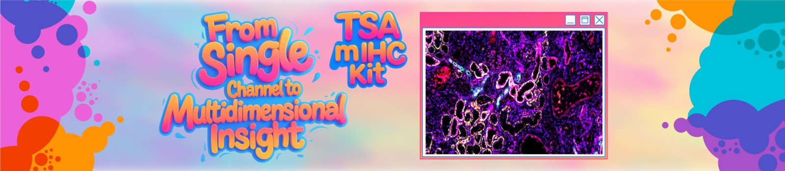 EnkiLife TSA Multiple Fluorescent Staining Kit EnkiLife TSA Multiple Fluorescent Staining Kit