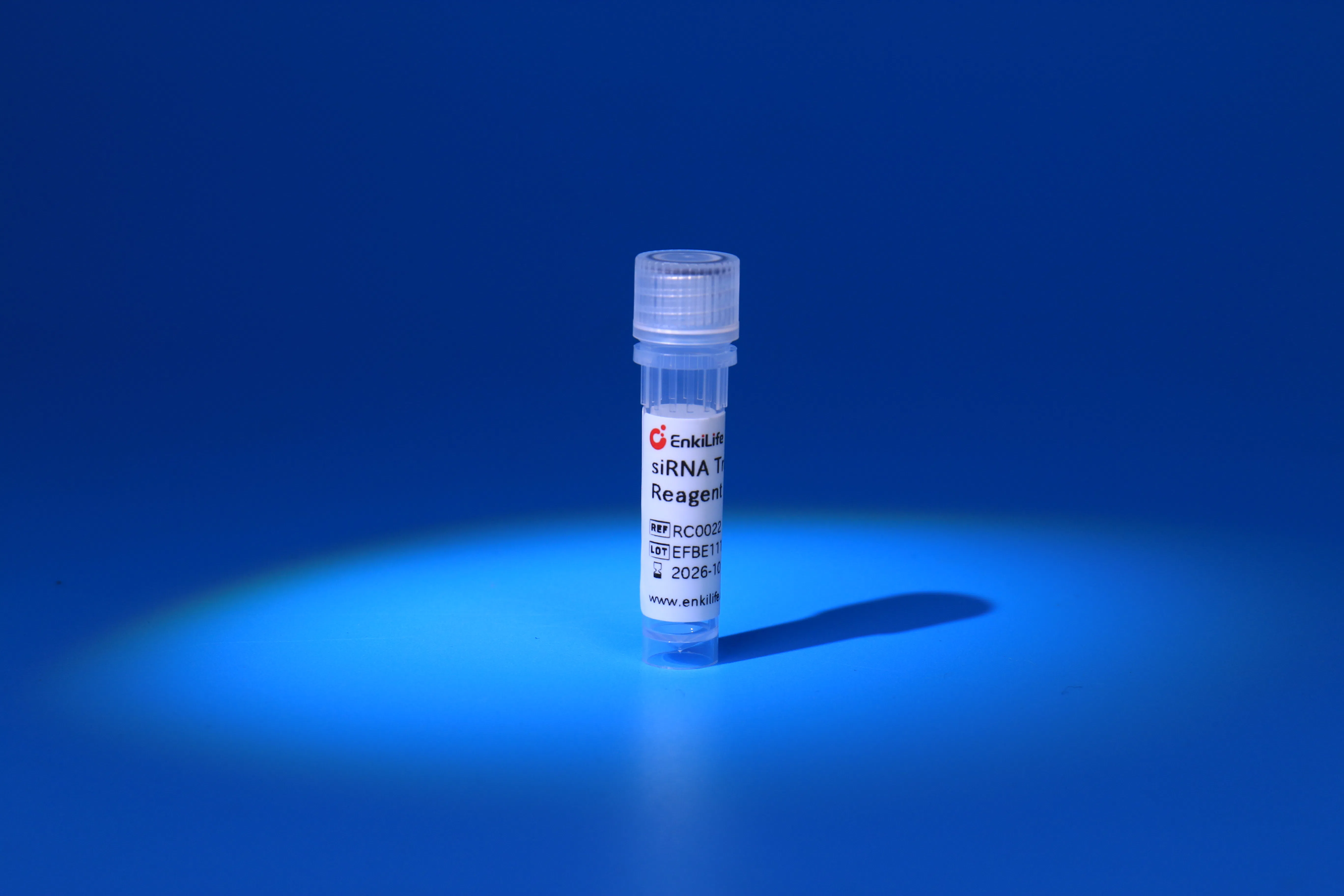 siRNA Transfection Reagent