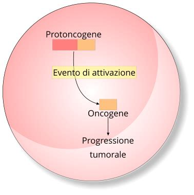 c-Oncogene 