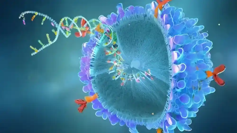 Epigenetics and Nuclear Signal