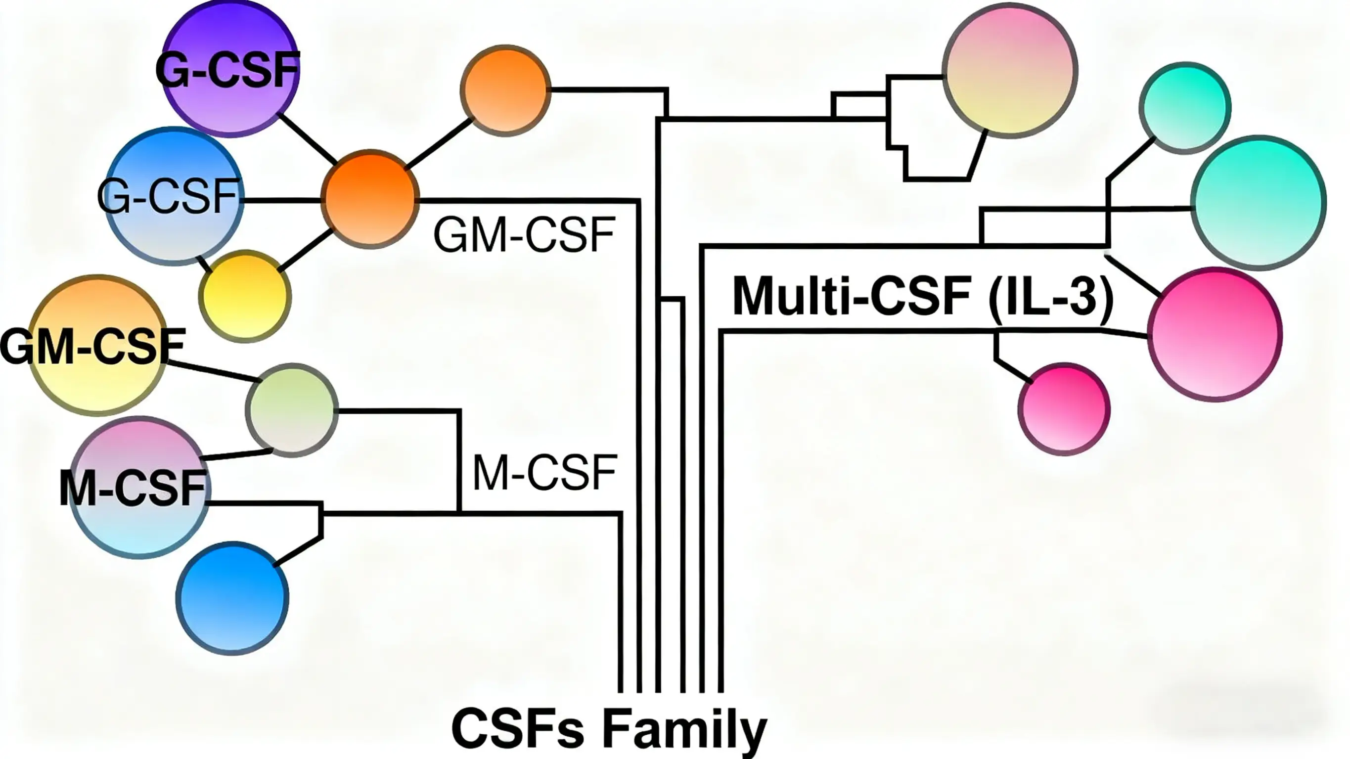 Colony Stimulating Factors (CSFs)