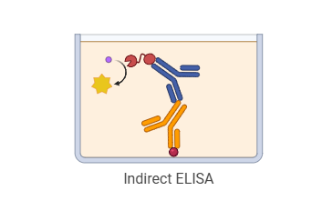 The types of ELISA