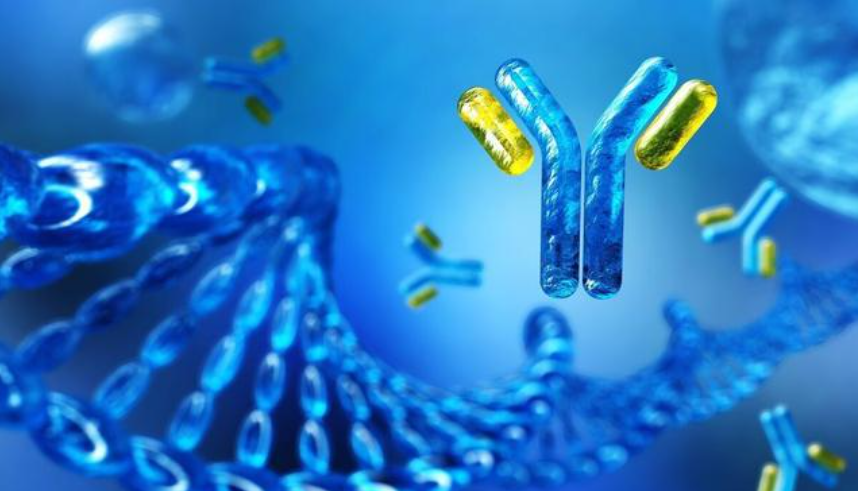 Types of Recombinant Antibodies and Their Generation Methods