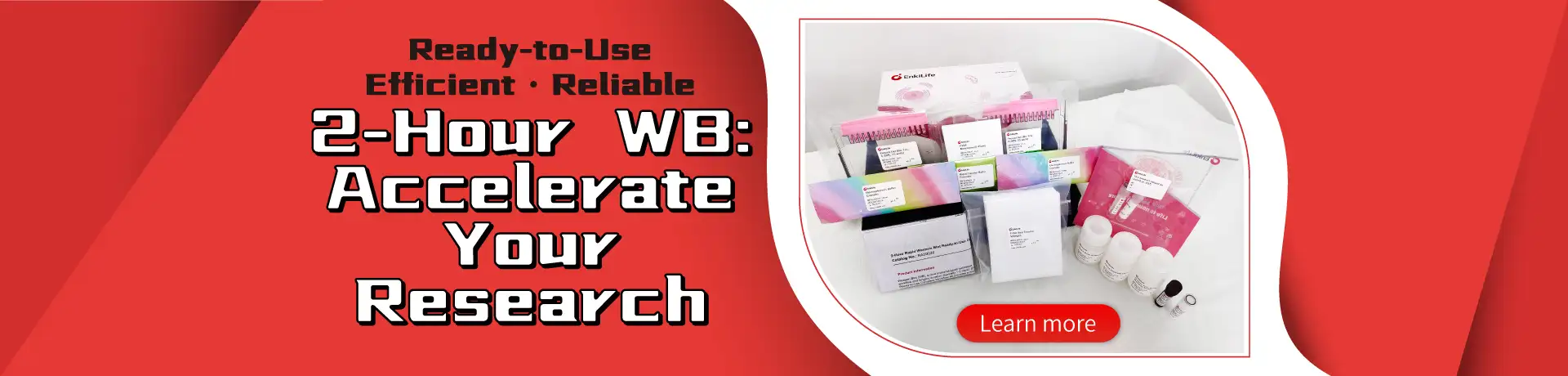 Western Blot Kit