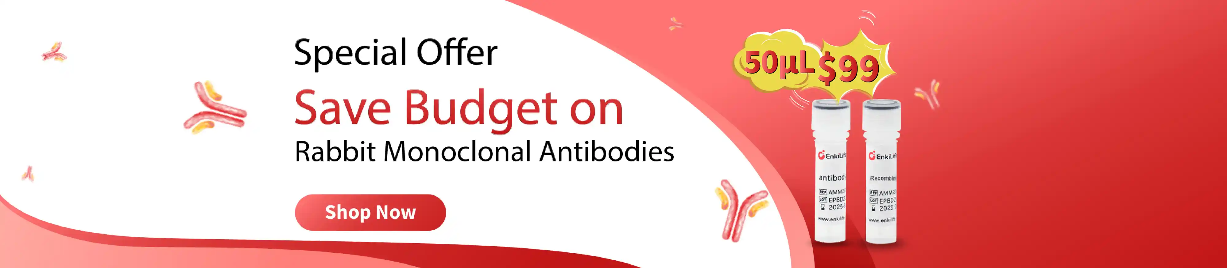 Special Offer on Recombinant Antibodies banner
