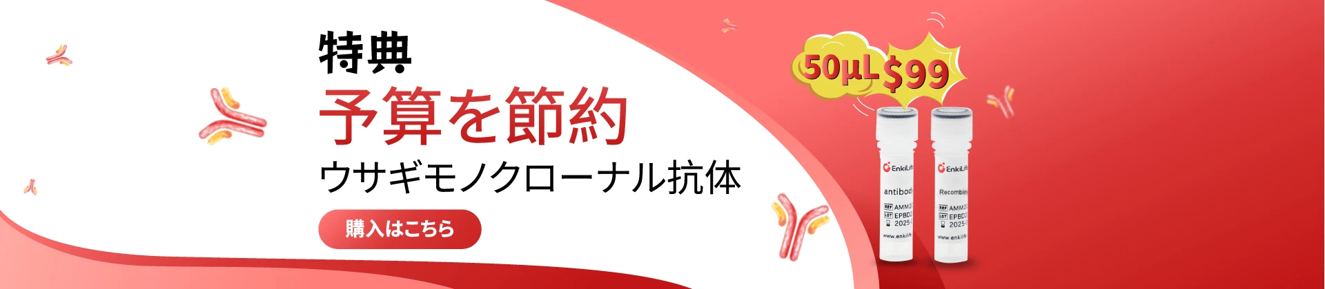 Special Offer on Recombinant Antibodies banner