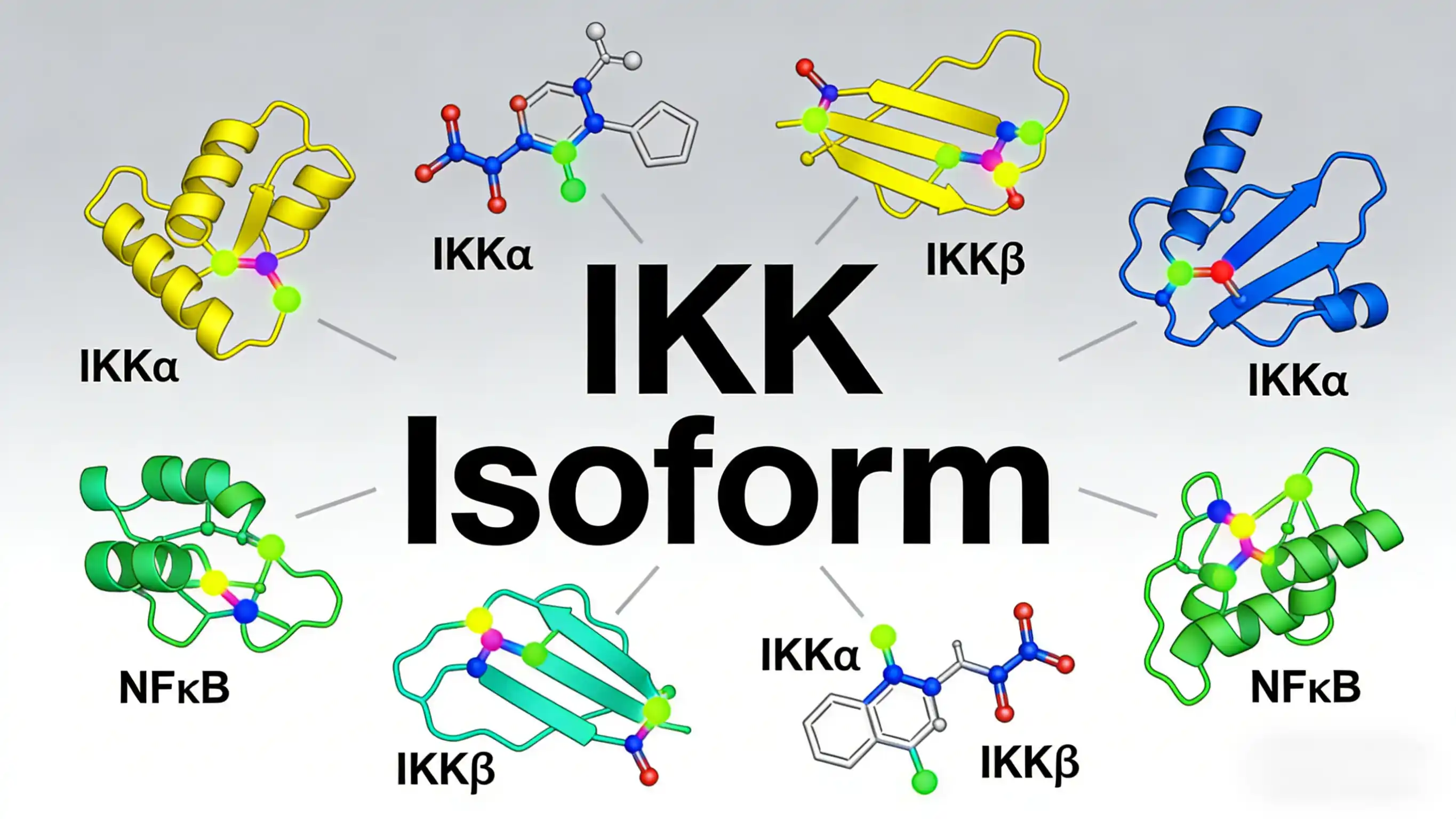 IKK Isoform