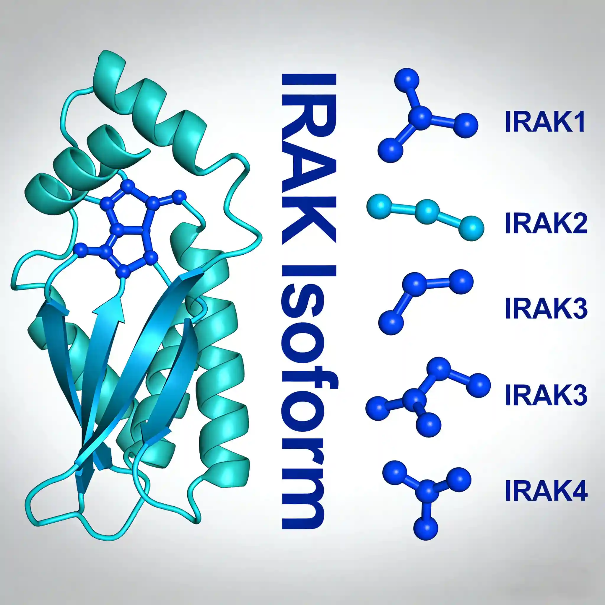 IRAK Isoform