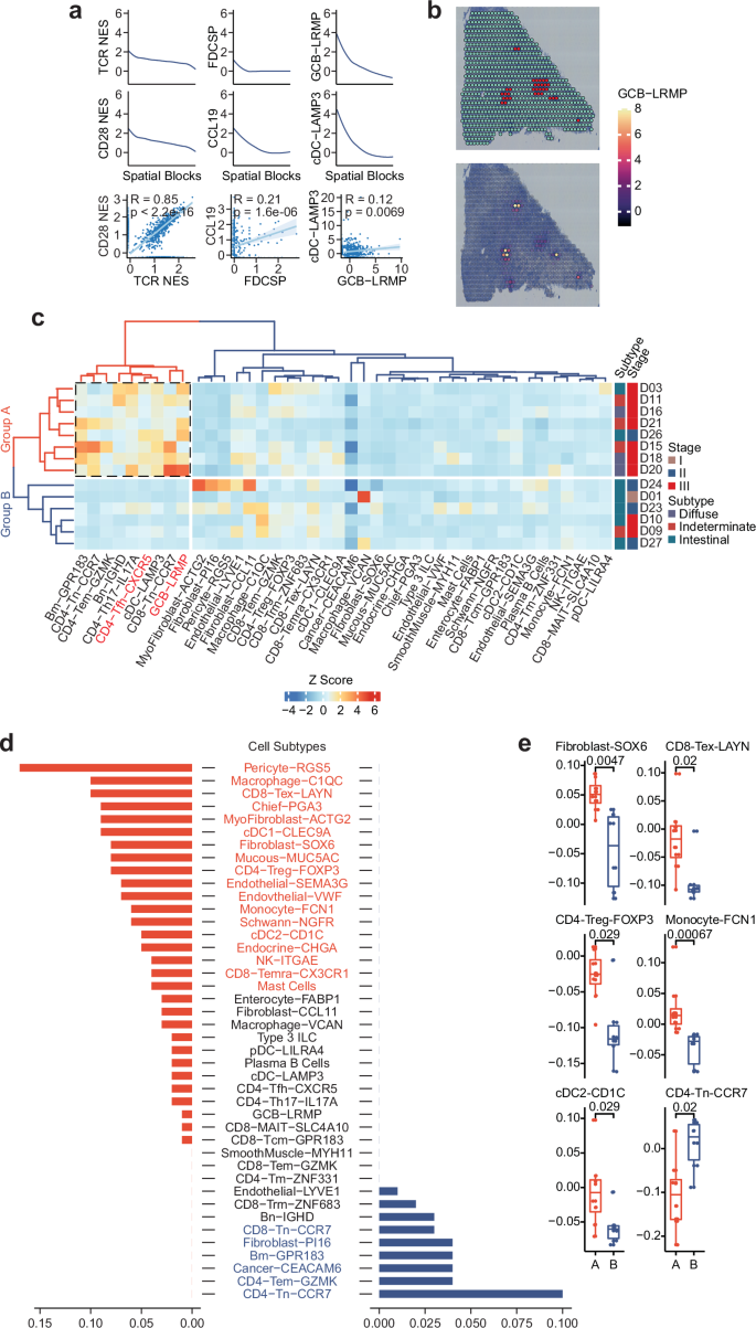 Fig. 3: The association between the developmental spectrum of LARs and their anti-tumorigenic immunity.