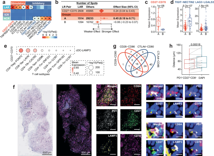 Fig. 4: Spatial distribution of immune checkpoint molecules across tumour samples.