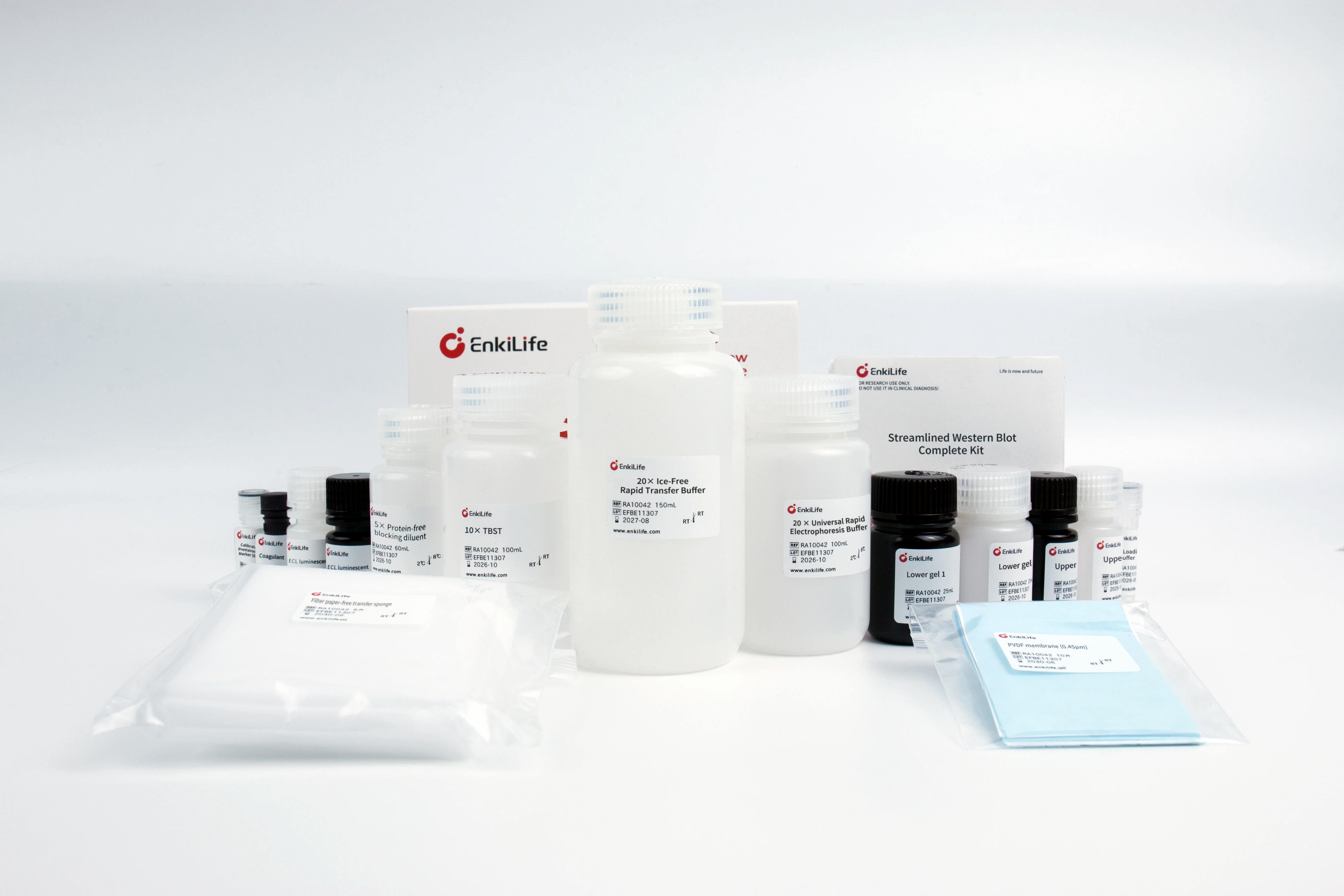 Western Blot (WB) Workflow & Product Solution Atlas