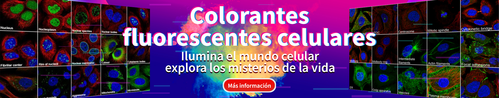 Cell Fluorescent Dye