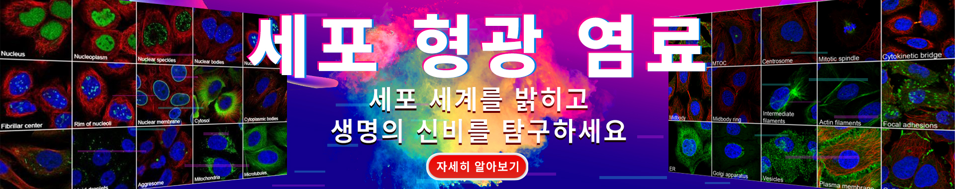 Cell Fluorescent Dye