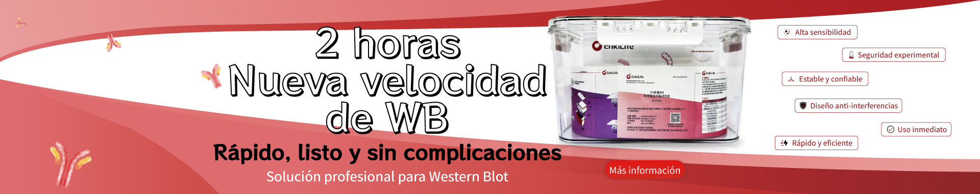 Western Blot Kit