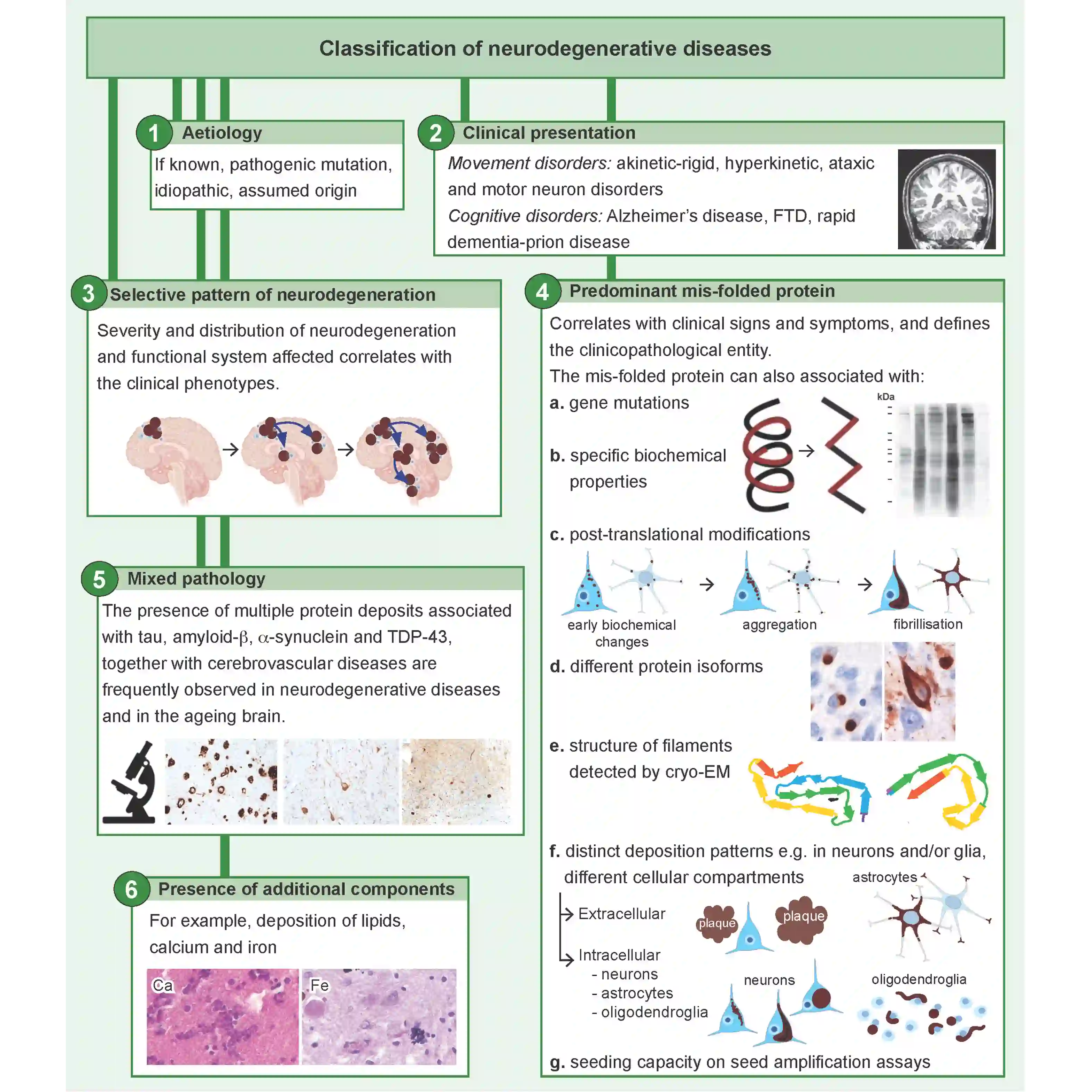 Neurodegenerative Diseases(ND)