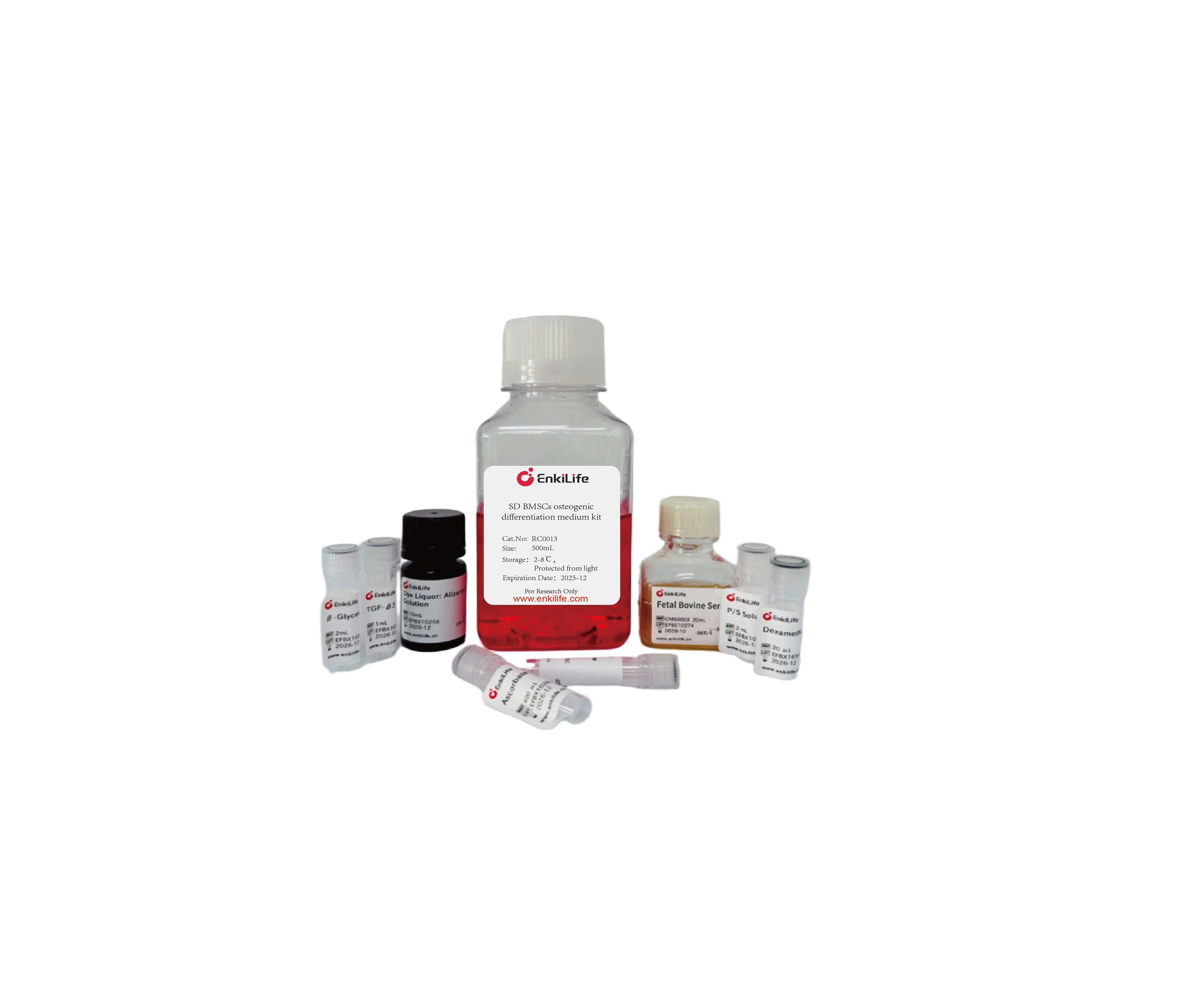FAQs on Differentiation Induction Using Osteogenic Induction Medium