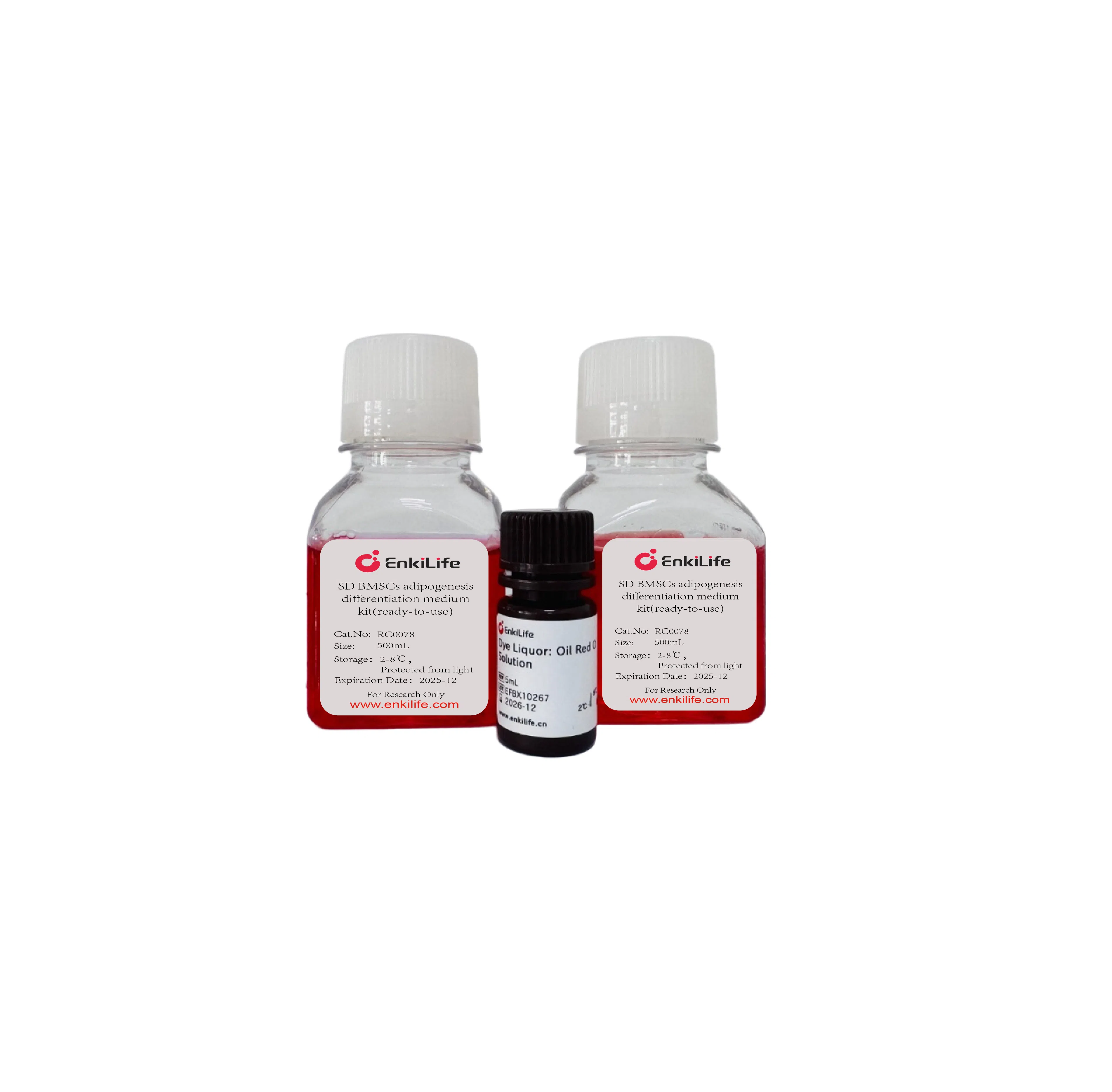 Adipogenic Differentiation Medium: Troubleshooting Common Issues