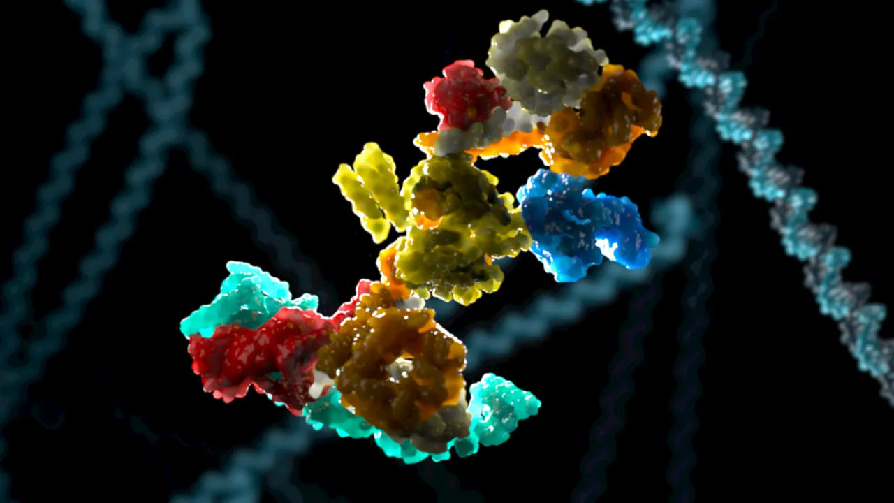 KO&KD Validated Antibodies