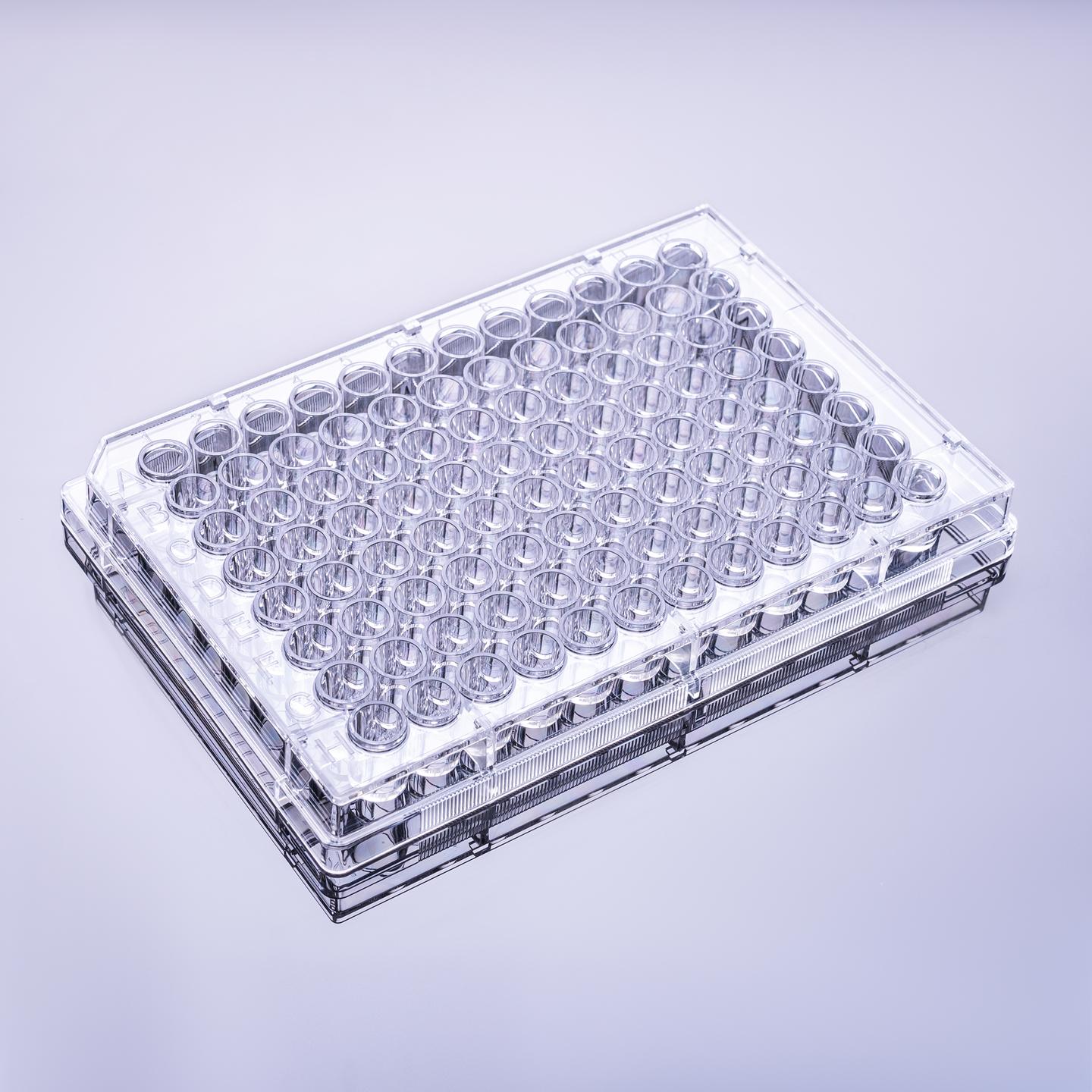 Polystyrene: The Unrivaled Choice for ELISA Solid-Phase Carriers