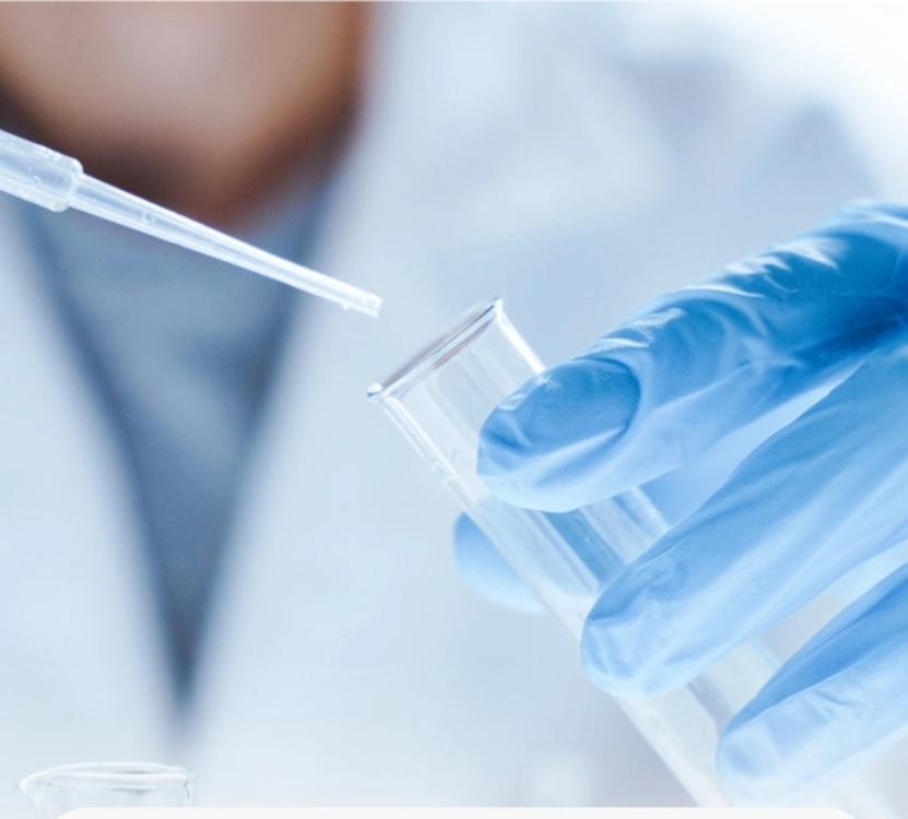 What Are the Differences Between ELISA, Western Blot, and IF? How Should Beginners Choose?