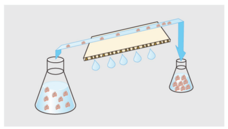 What I Didn't Know: Ultrafiltration is Required for Antibody Labeling? A Key Step That's Often Overlooked
