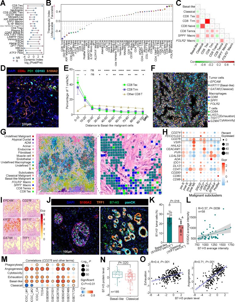 CD276/B7-H3 Bidirectionally Regulates Tumor Plasticity and Immune Microenvironment to Mediate Chemotherapy Resistance in Pancreatic Cancer