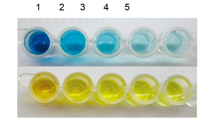 From OD Values to Reliable Data: Analyzing TMB, the Core Chromogenic Component of ELISA