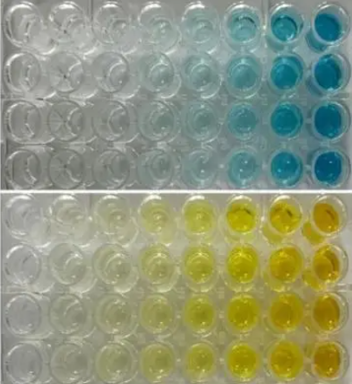 What are the differences between single-component and two-component TMB chromogenic substrates in ELISA experiments?