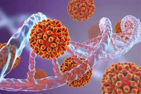 Introduction to Herpes Simplex Virus | ELISA