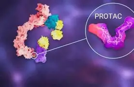 PROTAC: A Novel Technology Revolutionizing Small-Molecule Drug