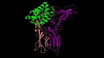 Research Progress and Functional Overview of Interleukins