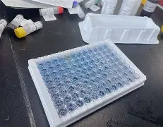 FAQs for ELISA Blocking Procedure