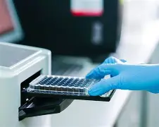 ​FAQs for ELISA Data Processing & Result Interpretation