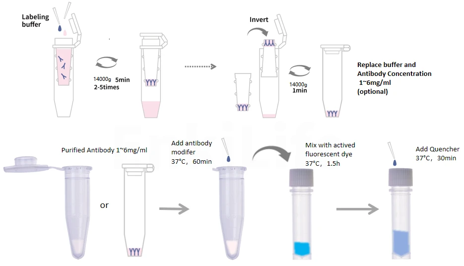 Labeling Flowchart