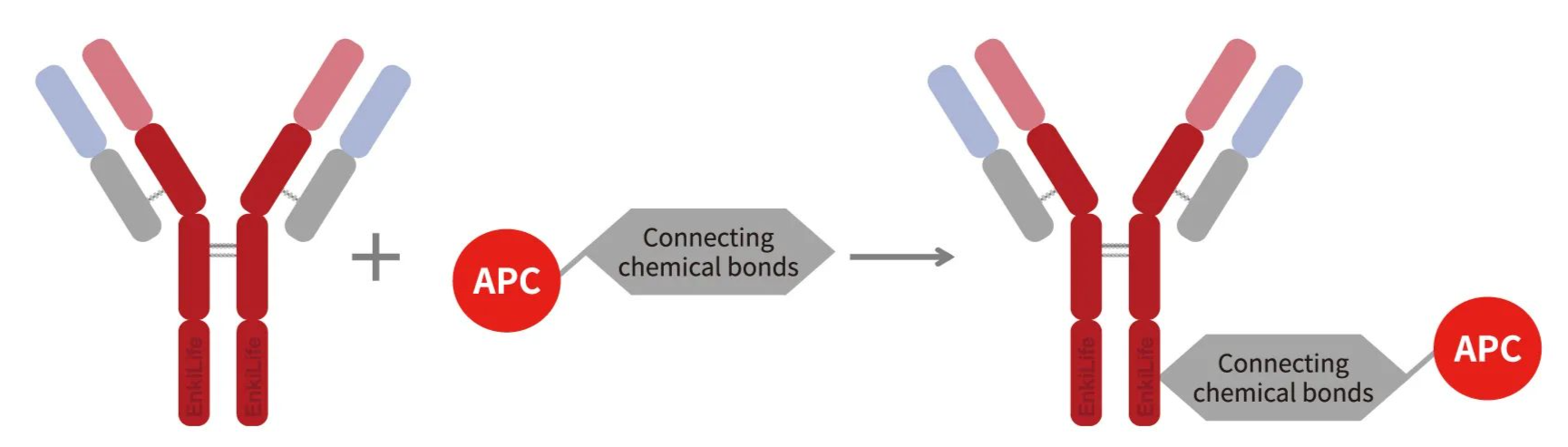 Labeling Principle Diagram