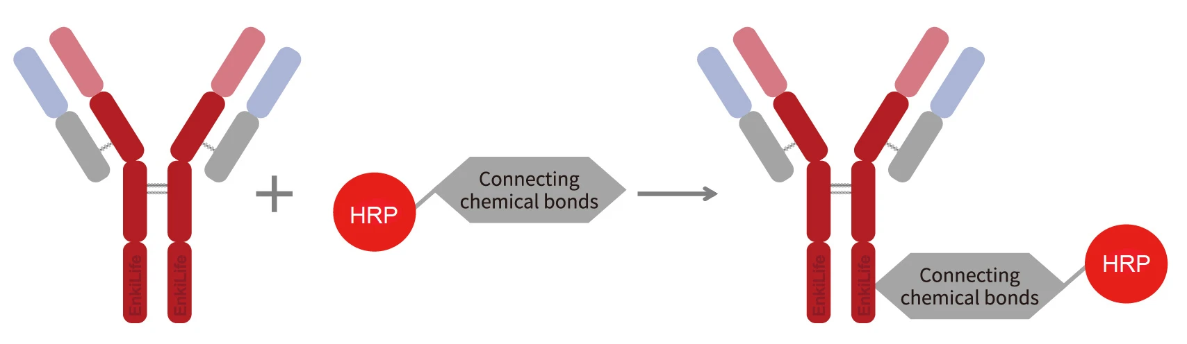 Labeling Principle Diagram
