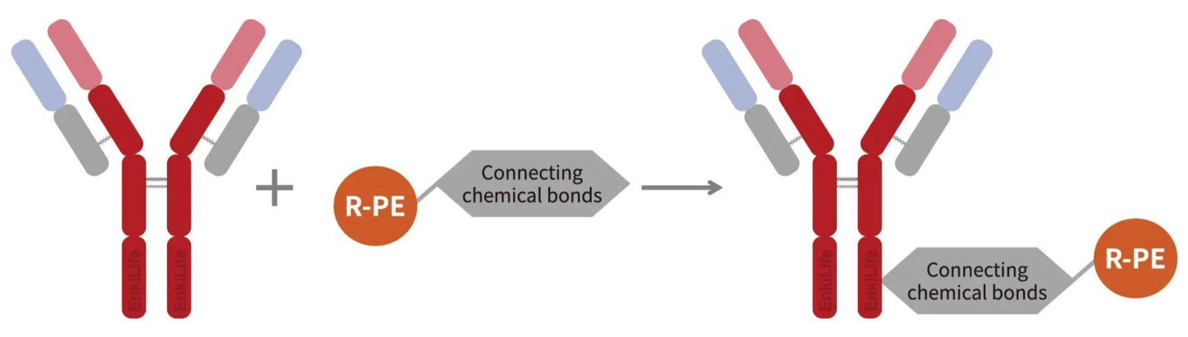 Labeling Principle Diagram
