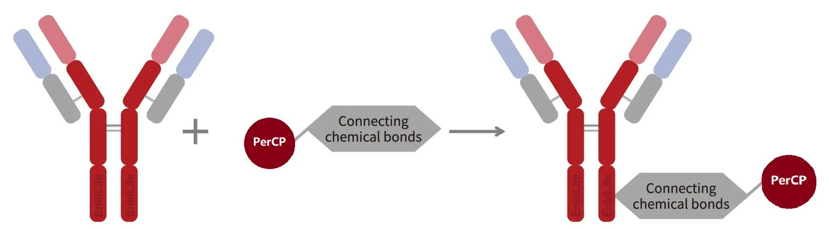 Labeling Principle Diagram