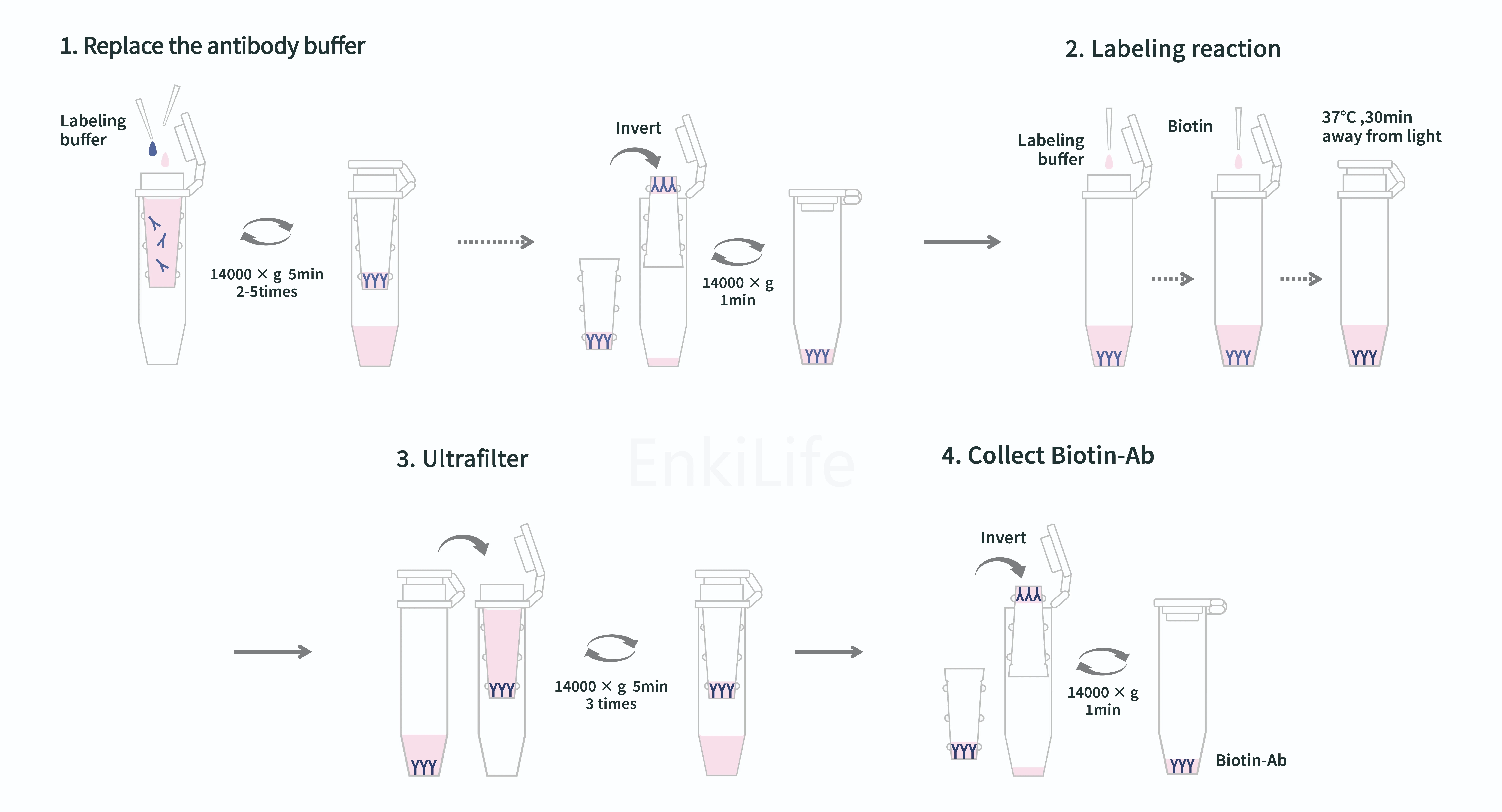 Sulfo-NHS-Biotin Labeling Kit-EnkiLife