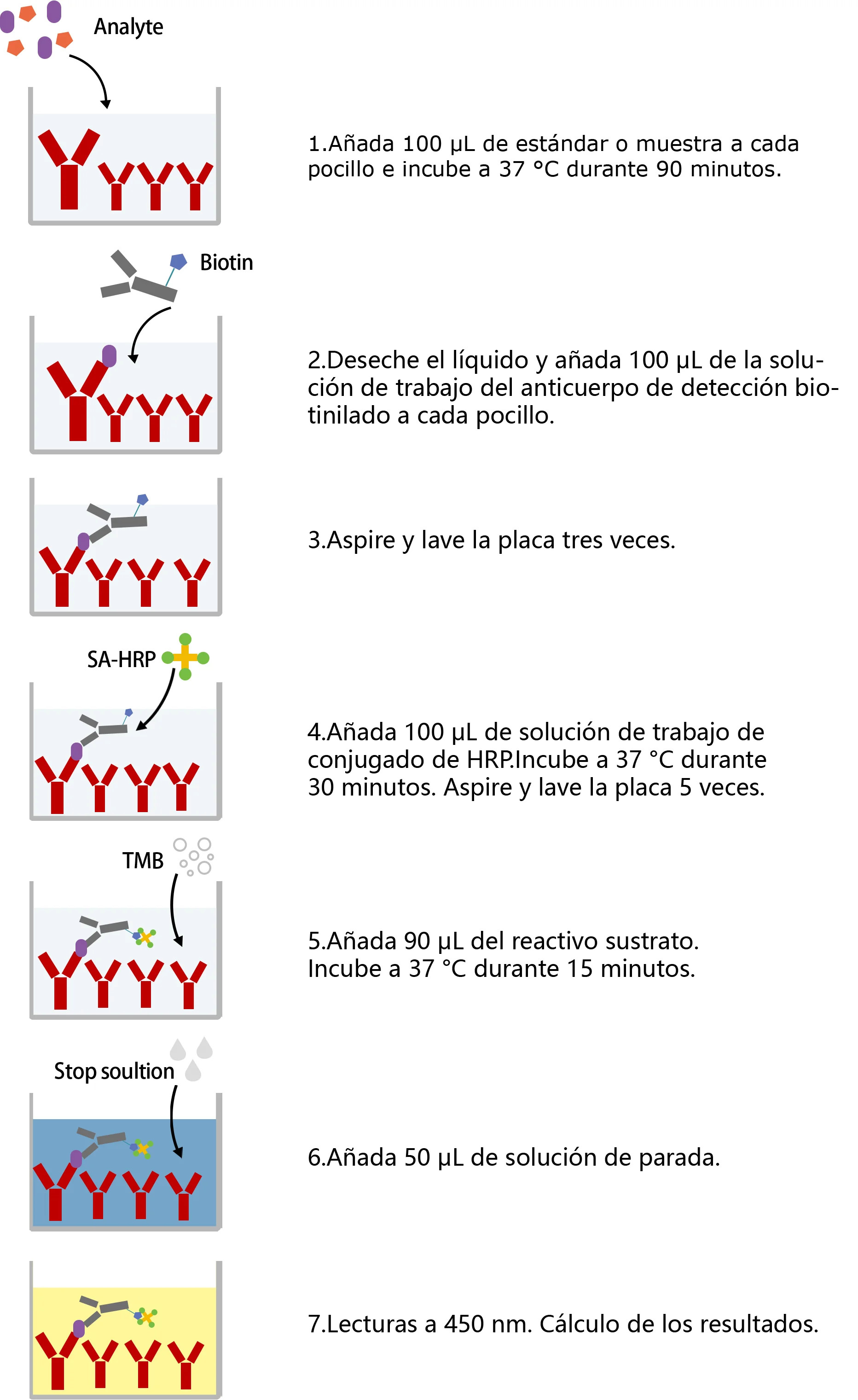 Assay Procedures-Enkilife