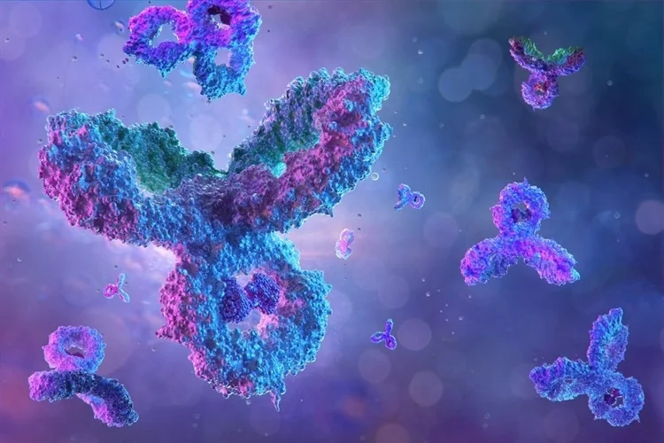 LRIT3_HUMAN   Q3SXY7   Leucine-rich repeat, immunoglobulin-like domain and transmembrane domain-containing protein 3
