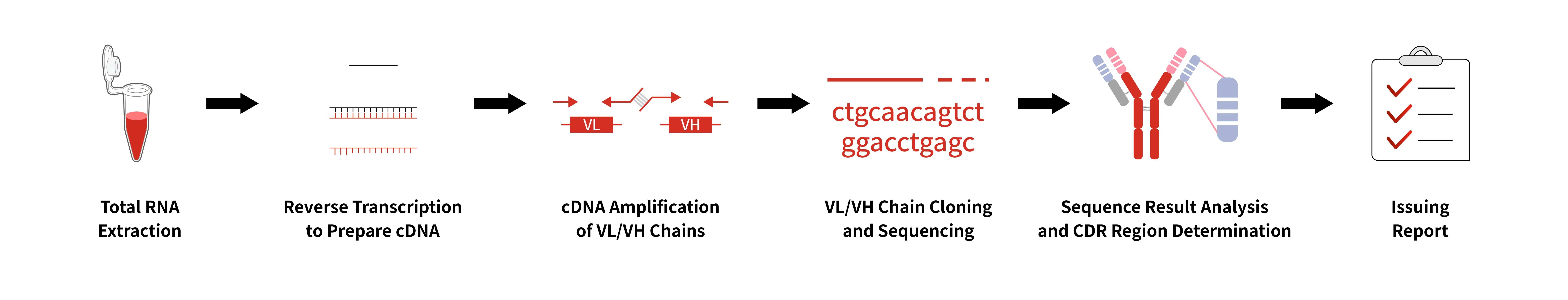Antibody Sequencing