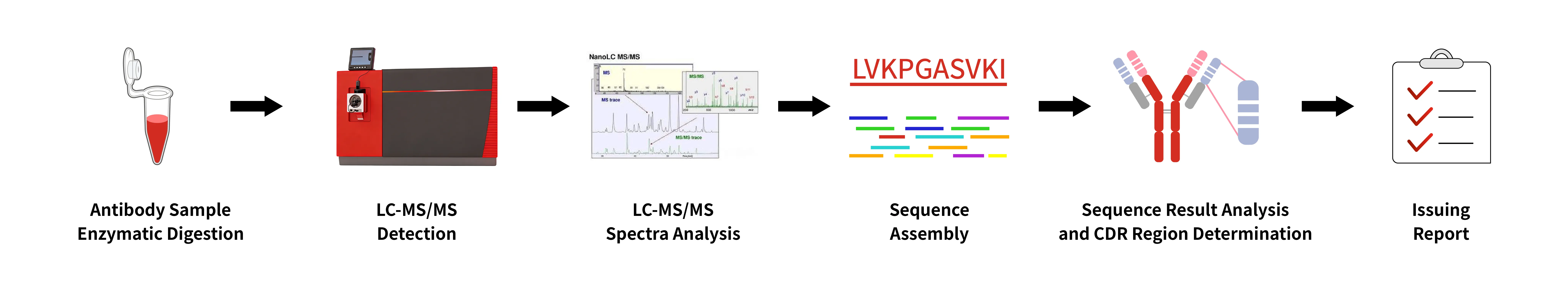 Antibody Sequencing